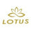 Cetma Composites Lotus Polymer Blades (Pair)
