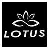 Cetma Composites Lotus Freediving Blades (Pair)