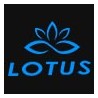 Cetma Composites Lotus Freediving Blades (Pair)