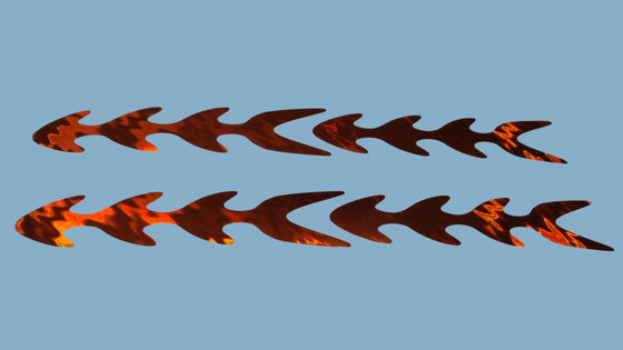 OBD Holographic Pre-Cut Shape - Orange Fish (4)