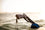 FreeDivers Speargun Handle