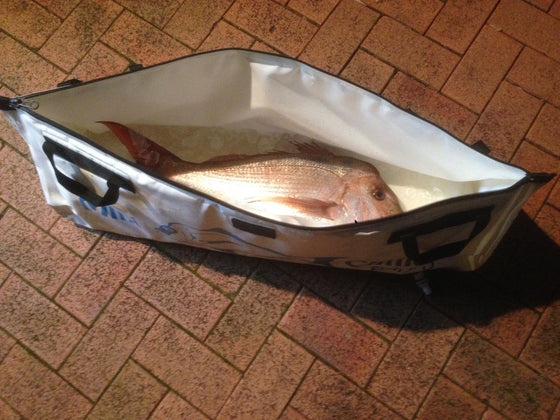 Chiller Fish Bags 