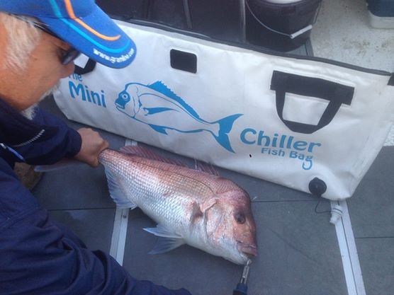 Chiller Fish Bags 