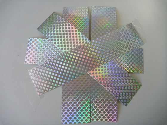 OBD Holographic Tape - Large Silver Scales