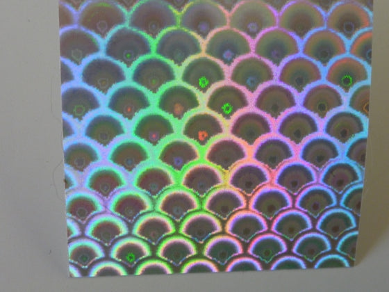 OBD Holographic Tape - Large Silver Scales
