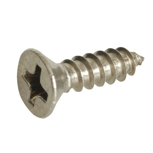 OBD Stainless 316 CSK Phillips Screws (Pair)