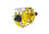 Meandros STANDARD PLUS Reel